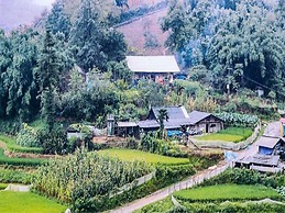 Saparis Station Hostel & Travel