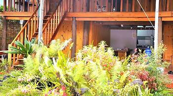 Thanh Binh Homestay Mang Den TT Mang Den