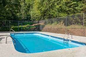 Dreamy Bear Lodge in Gatlinburg