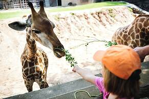 Elegant Flat in Benfica