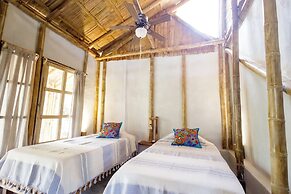 Los Amigos Ecoturismo y Reserva Natural