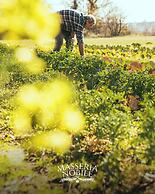 Masseria Nobile Relais