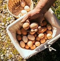 Masseria Nobile Relais