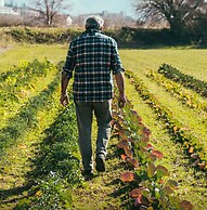 Masseria Nobile Relais