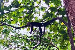 VILLA PRADA FAMILIAR