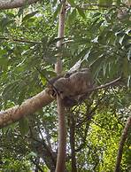 VILLA PRADA FAMILIAR