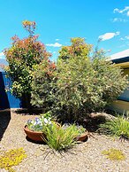 Eastend Studio Apartments