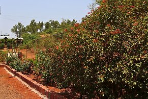 Melody 24 East Resort