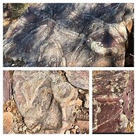 Casa Vinte & Cinco - Alojamento Local