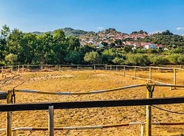 Casa Vinte & Cinco - Alojamento Local