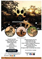 Adrenaline Lodge and Tours