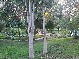 Adrenaline Lodge and Tours