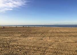 Beach Escape in Scheveningen