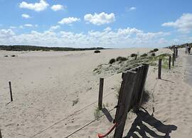 Beach Escape in Scheveningen