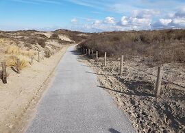 Beach Escape in Scheveningen