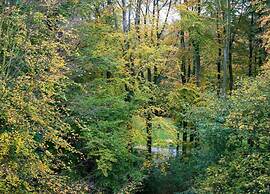 Apartment With Balcony in the Hague