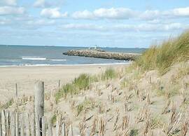 Seaside Comfort, Scheveningen