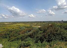 Lovely Apartment in Den Haag