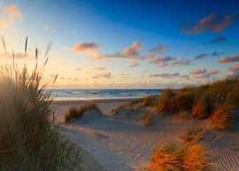 Cozy and Budget-friendly Studio Apartment