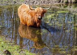 Cozy and Budget-friendly Studio Apartment