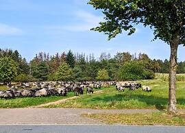 Heathland Comfort Stay