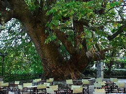 Kanari s House Pelion