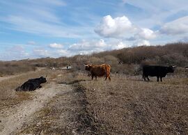 Comfort at Hellingweg Haven