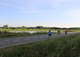 Spacious One-room Apartment in Delft