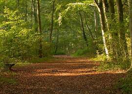 Spacious One-room Apartment in Delft