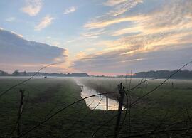 Spacious One-room Apartment in Delft