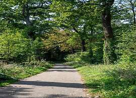 Historic Canal Home in Delft