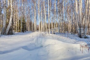 Hot Tub Haven: Group Getaway in Fairbanks!