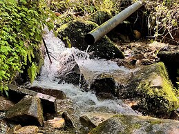 Noka Guest House Pole Pole