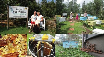 HELEN HOTEL PHU QUOC GRAND WORLD