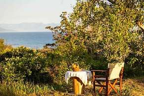 Petalidi Sunny Home One