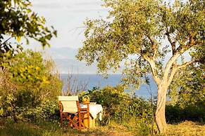 Petalidi Sunny Home One