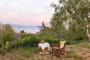 Petalidi Sunny Home One