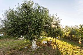 Petalidi Sunny Home One