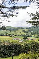 Tenuta Borgo San Michele