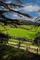 Tenuta Borgo San Michele