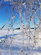 Holiday Village Anttoora - Anttooran Lomakylä