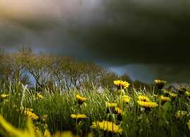 Docklodge Stay by the Water