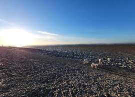 Docklodge Stay by the Water
