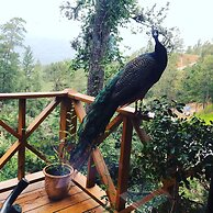 Casa de Montaña Villa Maya
