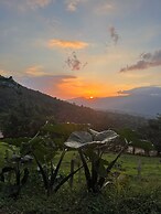 Bungalows Paraíso Celeste