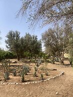 Riad Jardin des Orangers