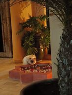 Riad Jardin des Orangers