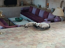 Riad Jardin des Orangers