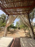 Riad Jardin des Orangers