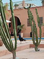 Riad Jardin des Orangers